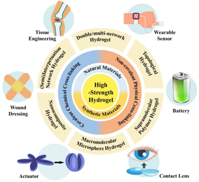 西工大黃河源、王文智/西安交大趙鑫 Nano Res.:高強度水凝膠的制備策略、增強機制與未來挑戰